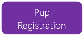 Pup Registration Button