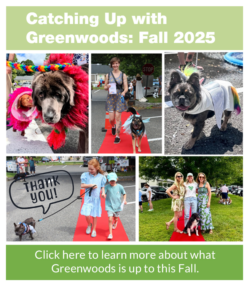 Greenwoods-Popup-Fall-Happenings
