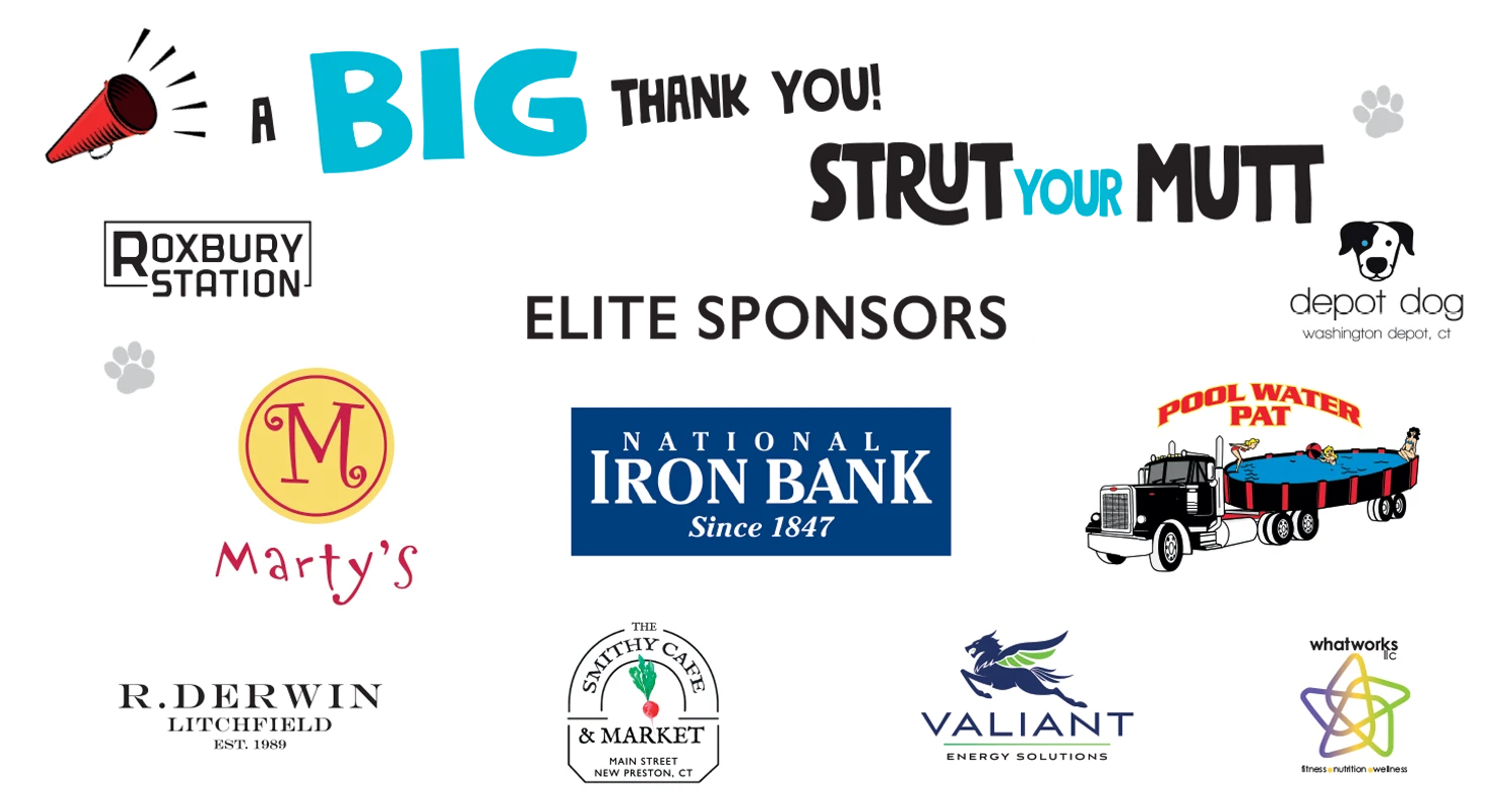 2026 SYM Logo Sponsor Sign