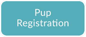 Pup-Registration-Button 2