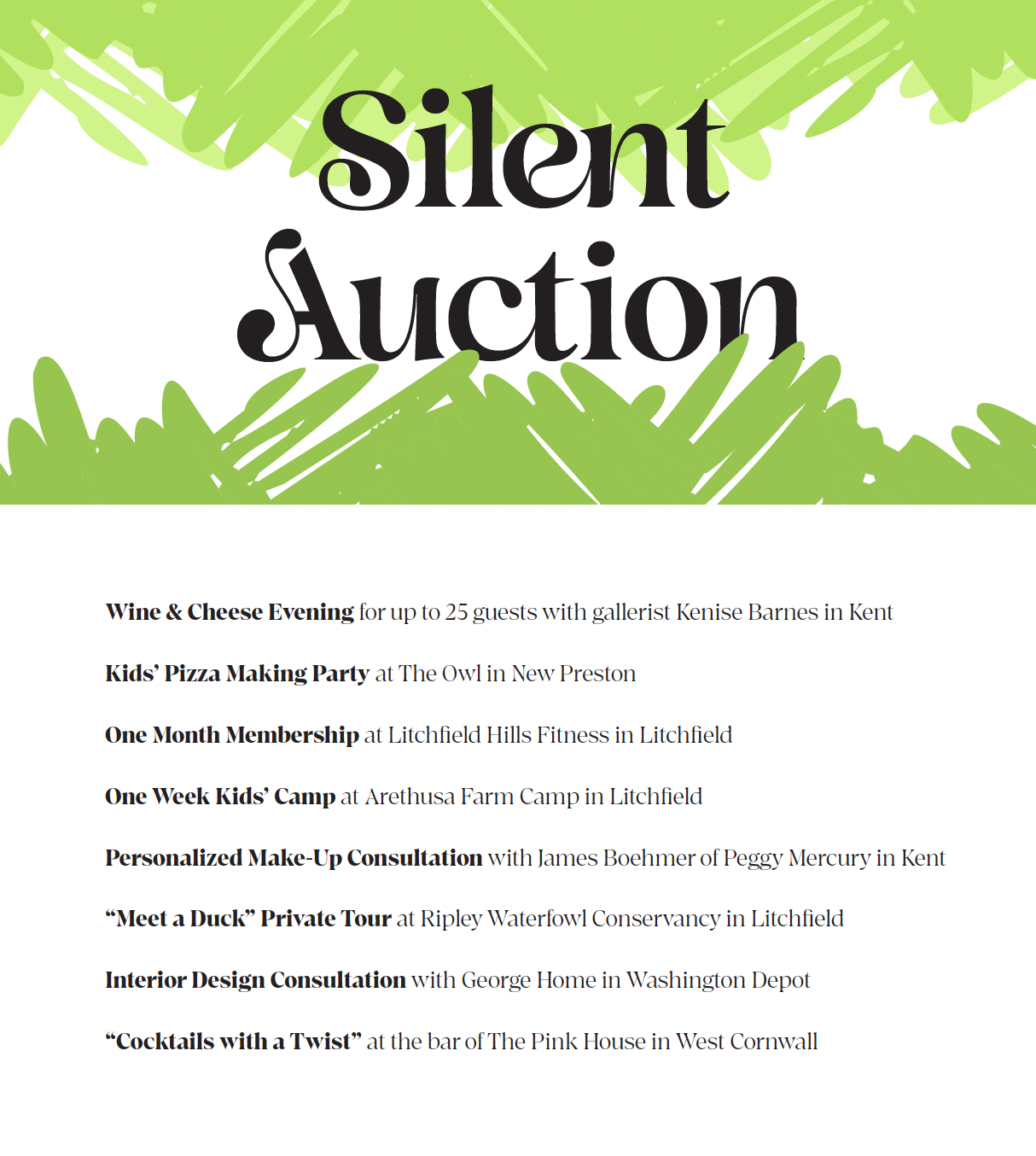2026 Summer Social - Silent Auction Eblast